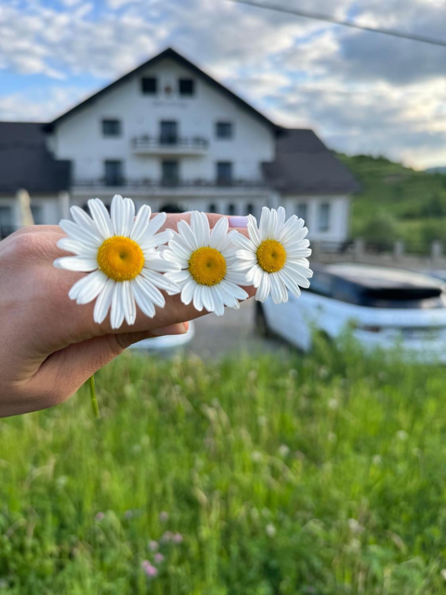 Evenimente Edelweiss Hotel Bogdan Voda ภายนอก รูปภาพ