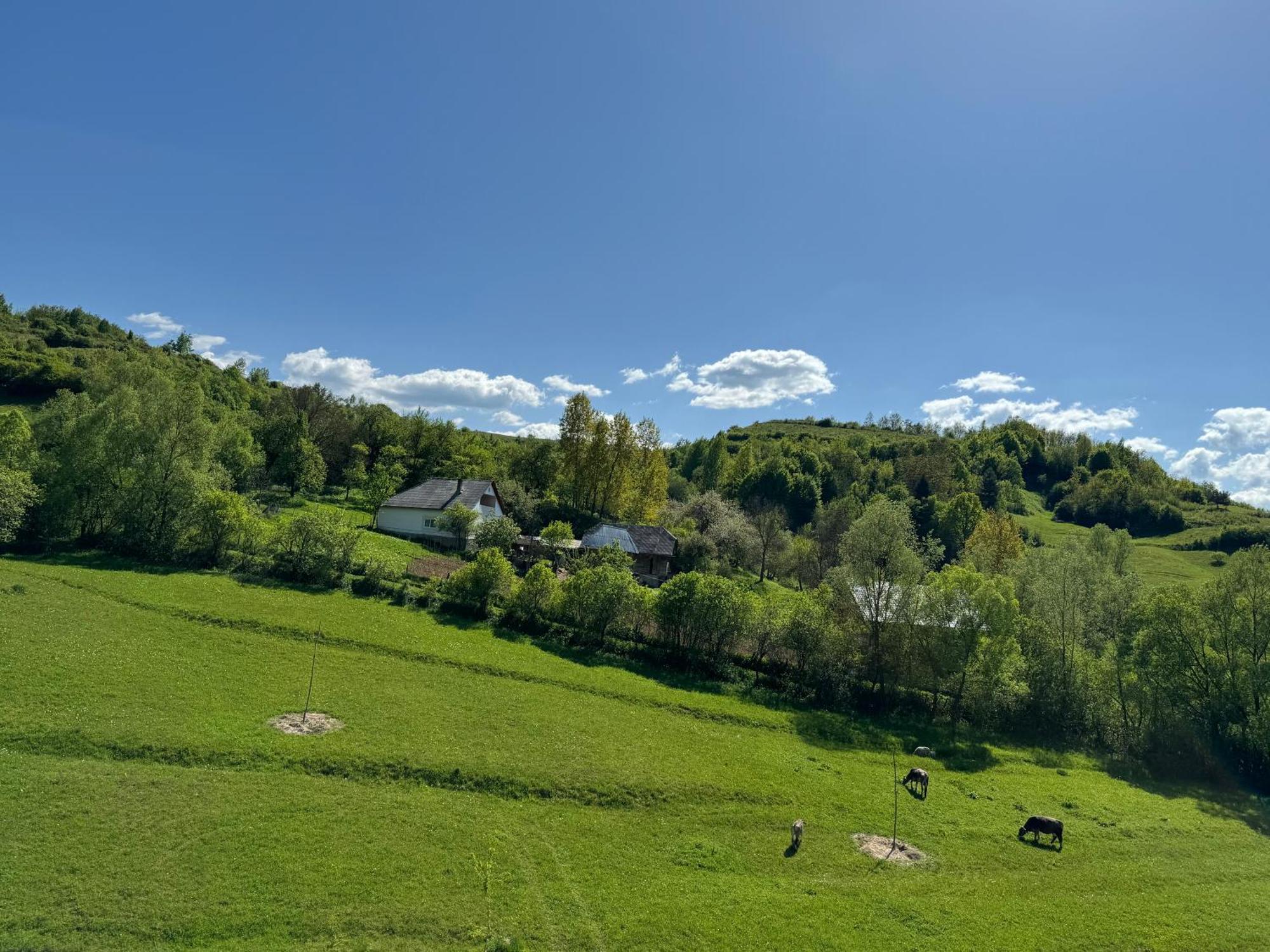 Evenimente Edelweiss Hotel Bogdan Voda ภายนอก รูปภาพ